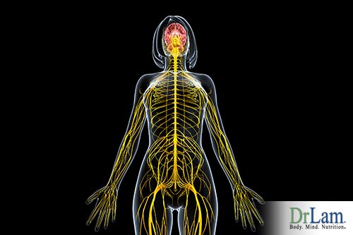 the effects of benzo withdrawal on the nervous system
