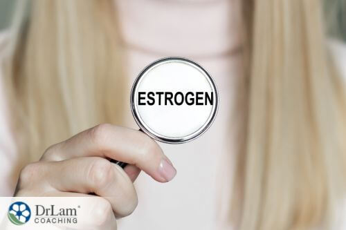 An image of a woman holding a magnifying glass with the word estrogen printed on it