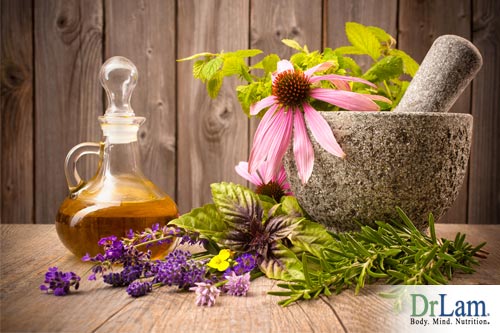 Advanced adrenal fatigue responds well to fermented herbs