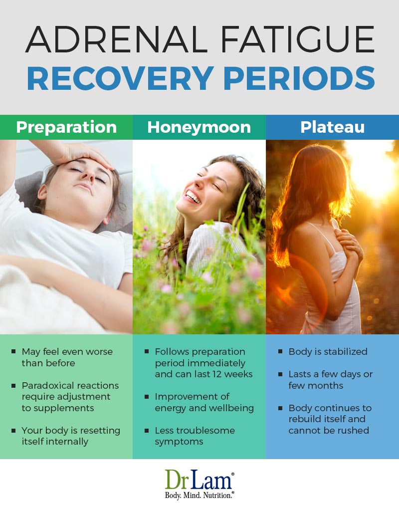 Check out this easy to understand infographic about the periods of Adrenal Fatigue recovery