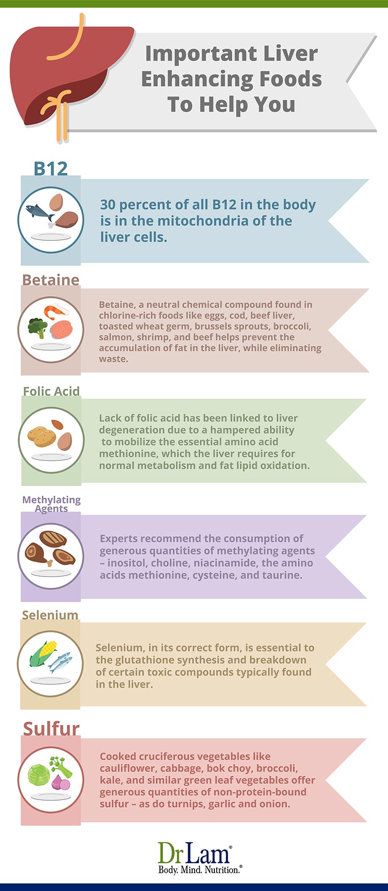 Check out this easy to understand infographic about the important liver enhancing foods to help you