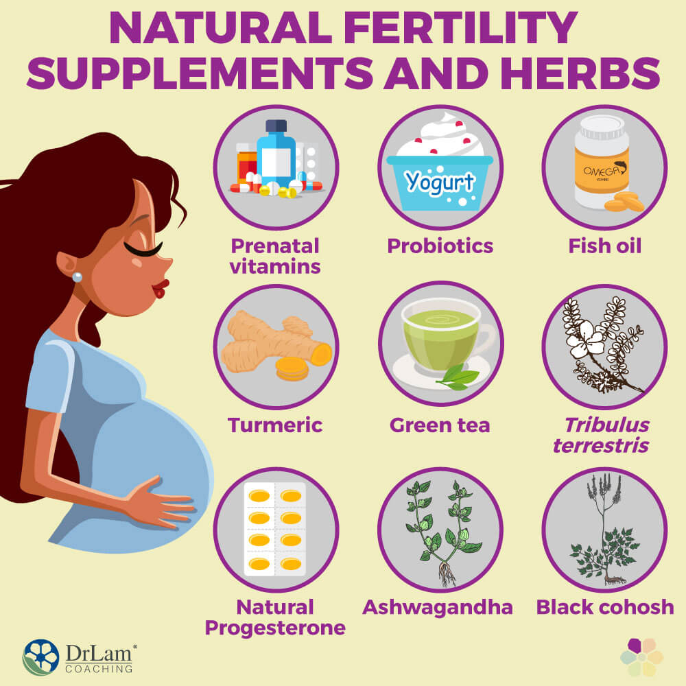 Natural Fertility Supplements and Herbs