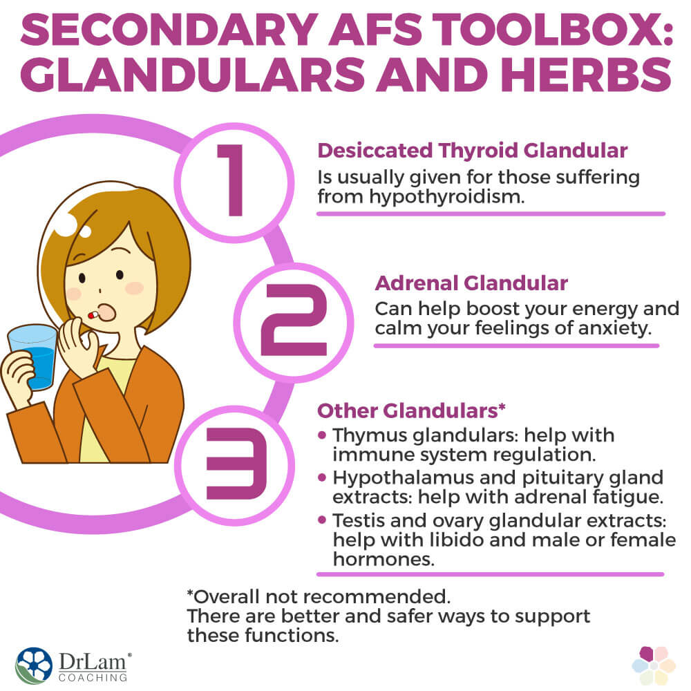 Secondary Adrenal Fatigue Supplements Toolbox: Glandulars and Herbs