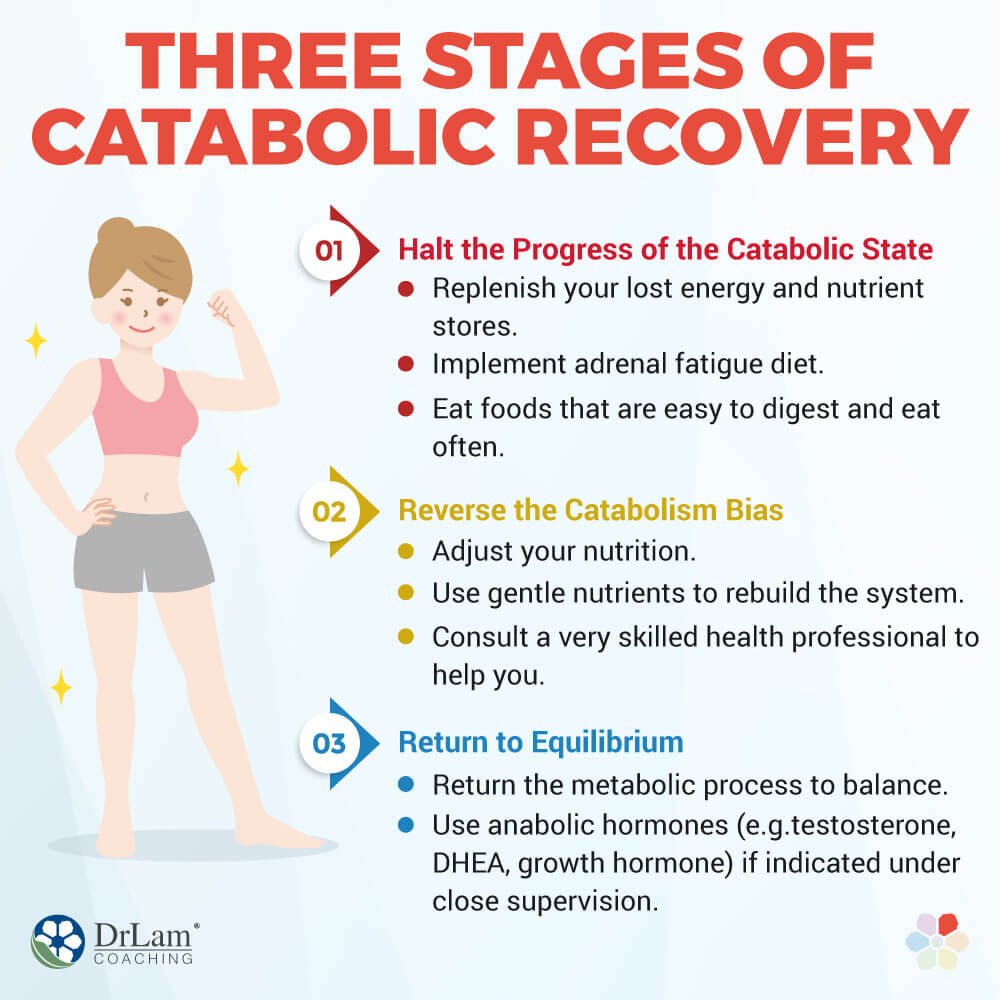Three Stages of Catabolic Recovery