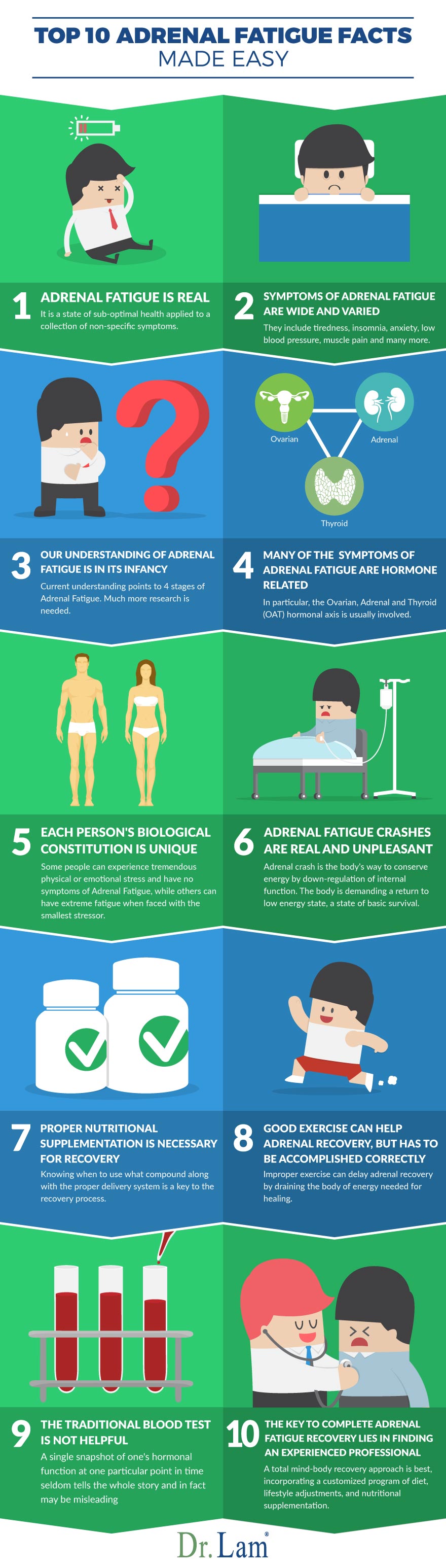Check out this easy to understand infographic about what is Adrenal Fatigue facts